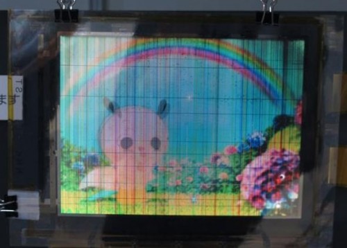 Гибкий 8-дюймовый OLED дисплей от корпорации NHK