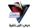 Dubai Sports HD – это спортивный телеканал