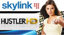 Hustler HD тестируется на Skylink