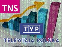 Эфирное цифровой телевидение в Польше пользуется все большим спросом