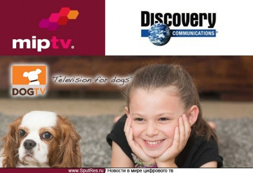 Discovery Communications вкладывает средства в Dog TV