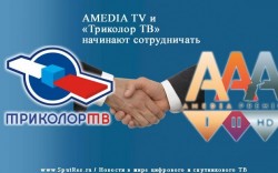 AMEDIA TV и «Триколор ТВ» начинают сотрудничать