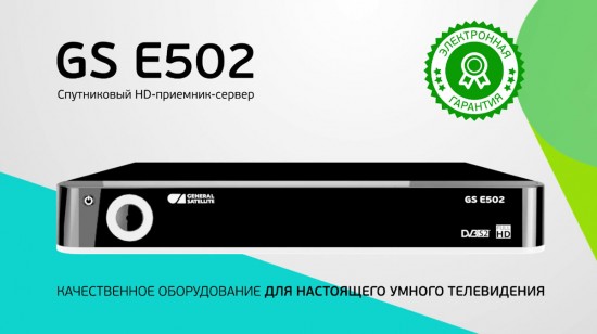 GS E502 электронная гарантия сроком на 12 месяцев;