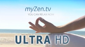 Количество Ultra HD каналов увеличивается My Zen TV